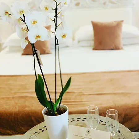 Palazzo Del Poeta - Dimora Contemporanea Guest house 2*